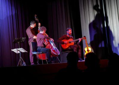 Festival Musique & Neige - Concert Loco Cello - 2023 - Photos Yoann Huck